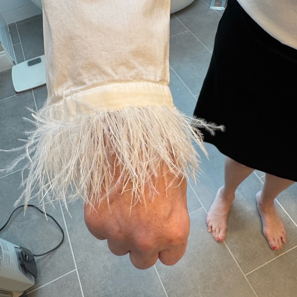 Perfect New Years Eve feathered blouse that can be styled a million ways. - Picture 4 of 11